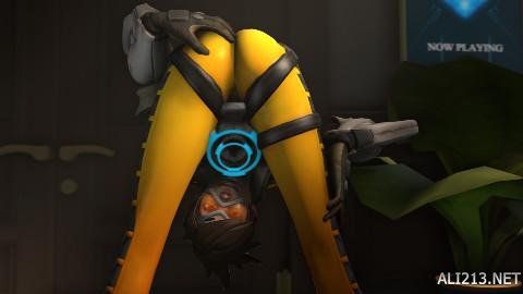 案例分析 案例分析