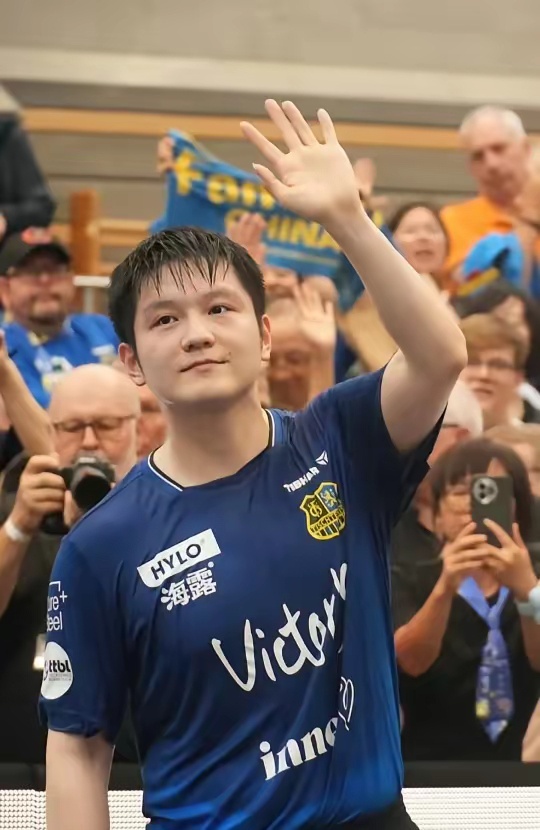 彰显了安德 彰显了安德