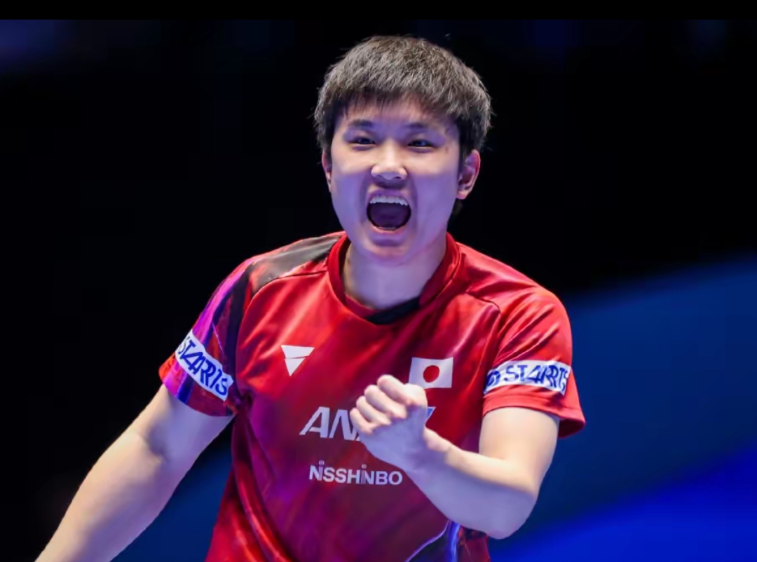 马丁内利等 马丁内利等