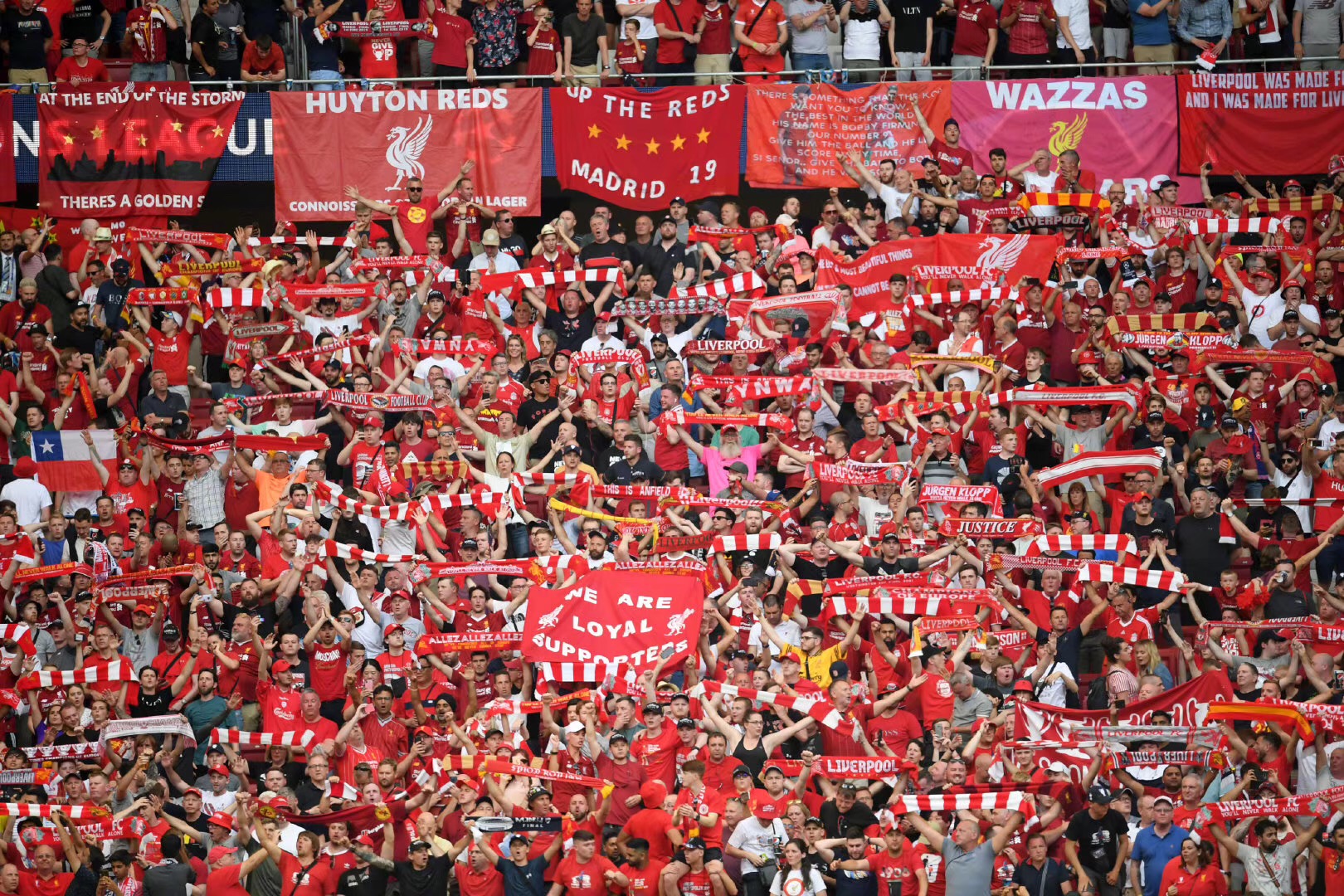 金鹿增添夺 金鹿增添夺